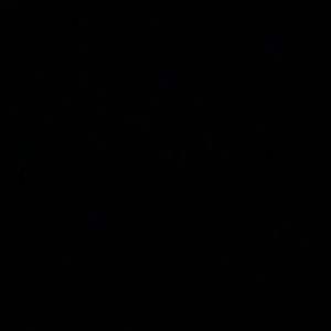 Meet your Posher, Yaretzi